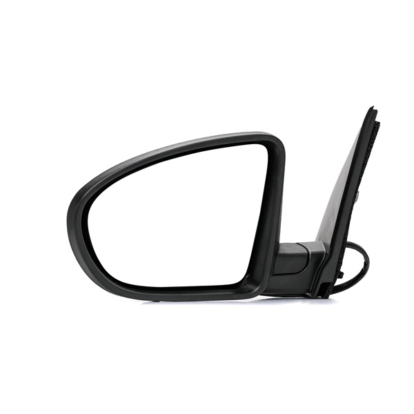 RIDEX 50O0251 Buitenspiegel