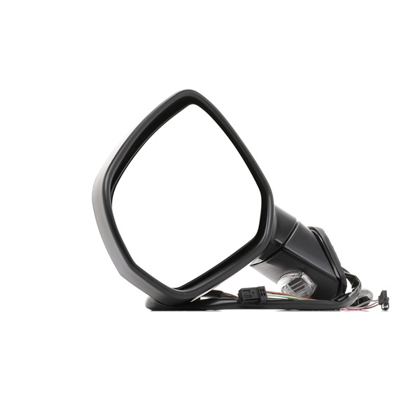 RIDEX 50O0261 Espejo retrovisor