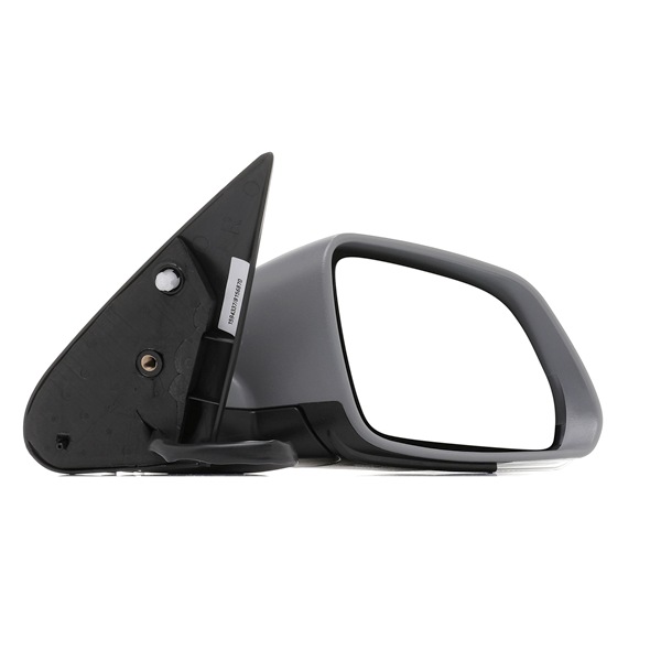 RIDEX 50O0218 Backspegel