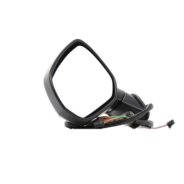 RIDEX 50O0077 Sidespeil