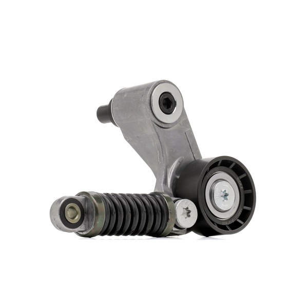 RIDEX 310T0100 Tensioner pulley Tensioner pulley 7700102395 RIDEX 310T0100 RENAULT, VOLVO, MITSUBISHI, DACIA, RENAULT TRUCKS