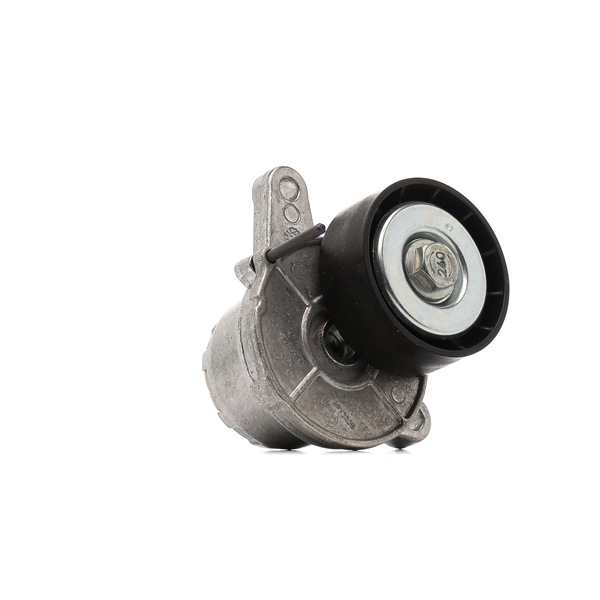 DAYCO APV3208 Riemspanner, Poly V-riem