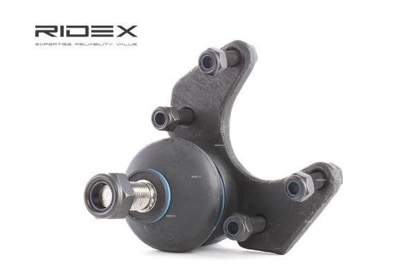 RIDEX 2462S0061 Шарнири