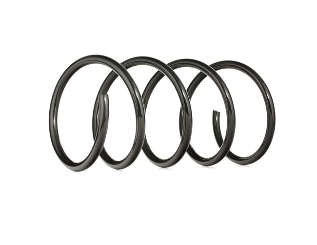 RIDEX 188C0229 Ressort de suspension