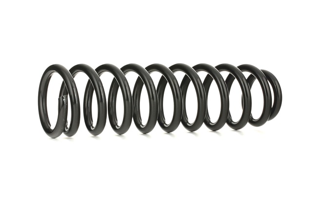 RIDEX 188C0047 Chassisveer