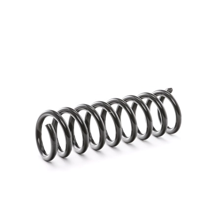 RIDEX 188C0326 Ressort de suspension