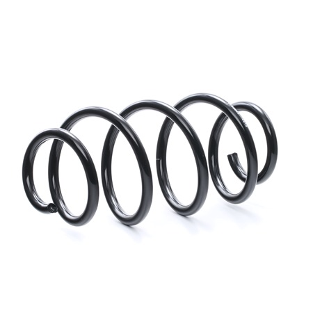RIDEX 188C0265 Feder VW TOURAN 1.9 TDI 105 PS Diesel