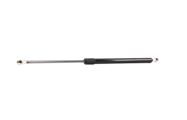 RIDEX 219G0600 Heckklappendämpfer