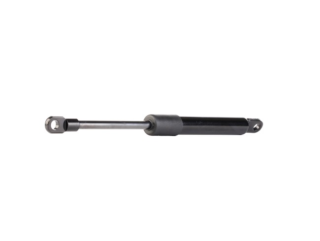RIDEX 219G0497 Heckklappendämpfer