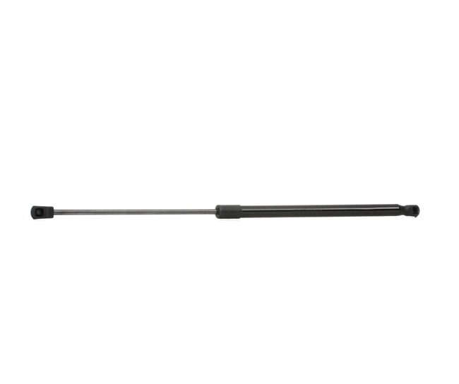 RIDEX 219G0432 Heckklappendämpfer