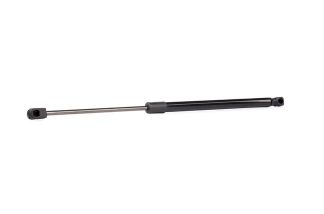RIDEX 219G0631 Heckklappendämpfer