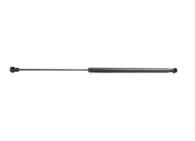 RIDEX 219G0476 Amortizor, luneta