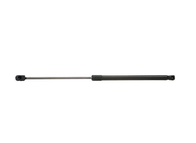 RIDEX 219G0498 Amortizor portbagaj
