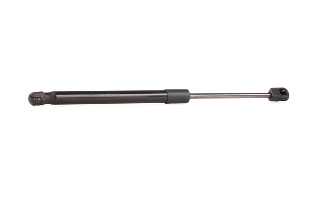 RIDEX 219G0519 Heckklappendämpfer