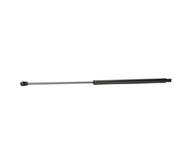 RIDEX 219G0601 Heckklappendämpfer