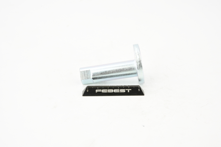 Nachlaufschale, Achskörper FEBEST 0132-009 Bewertung
