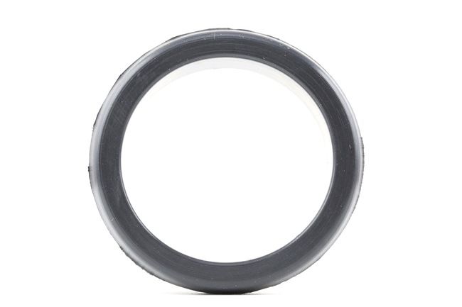 FA1 076.365.100 Dichtring