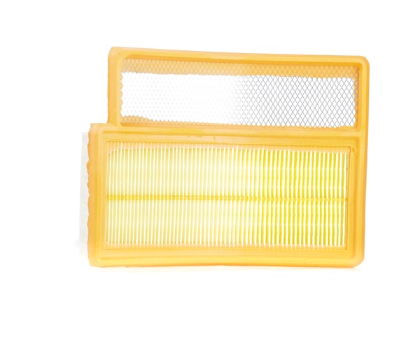 VAICO V24-0304 Luftfilter