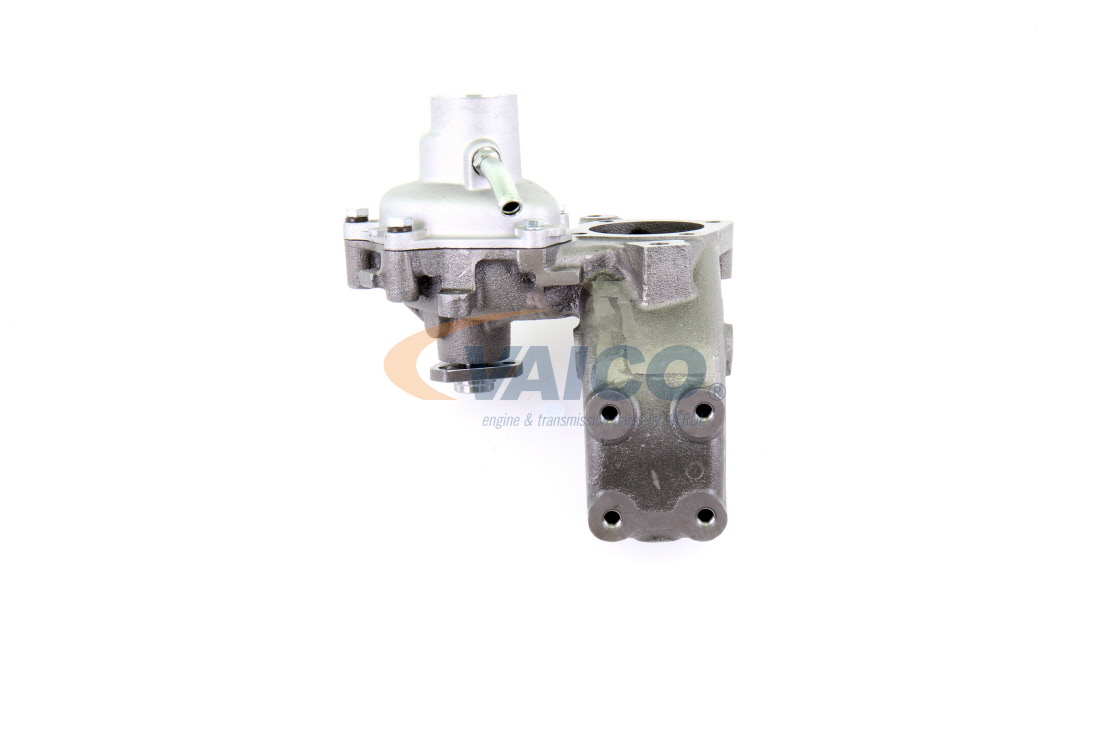 VAICO V24-50013 Wasserpumpe