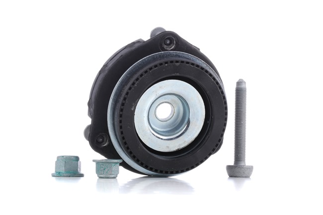 MCX0560 Repair kit, suspension strut MEYLE Seat