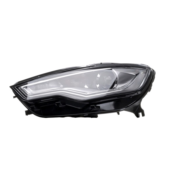DIEDERICHS 1028985 Projecteur principal