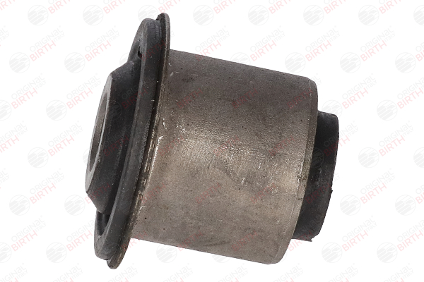 Lagerung, Lenker 5450 199 69R BIRTH 2051 RENAULT, TOYOTA, MAZDA, NISSAN, DACIA