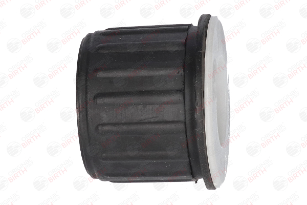 Lagerbuchse, Blattfeder 2200 BIRTH 5131F6 FIAT, PEUGEOT, CITROЁN, DS