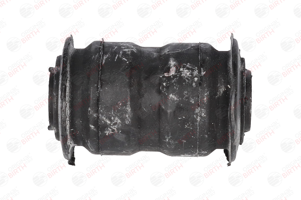 Lagerbuchse, Blattfeder 2499 BIRTH 513173 BMW, FIAT, PEUGEOT, CITROЁN, LANCIA