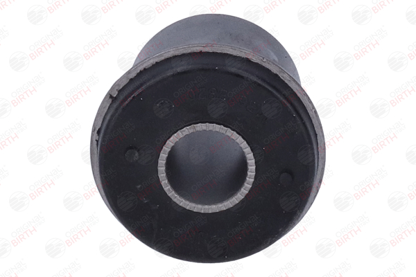 Supporto braccio oscillante BIRTH 2836