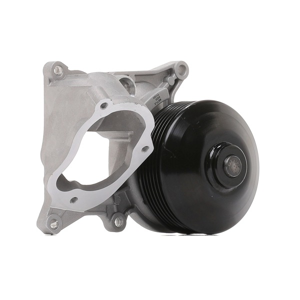 MEYLE 313 220 0019 Pompe à eau