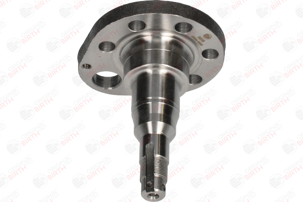 BIRTH 3379 Radnabe Radnabe 3379 BIRTH 191501117D VW, AUDI, SKODA, SEAT