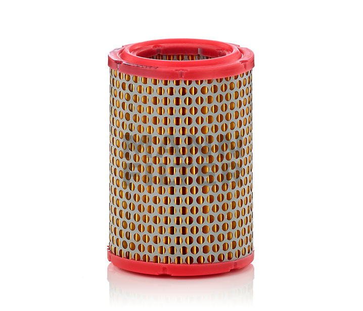 MANN-FILTER C 1134/1 Filtre à air