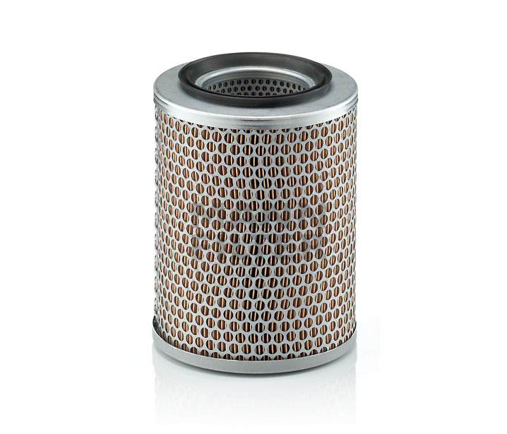 960826 C17134 OEM MANN-FILTER Filtro aria prezzo