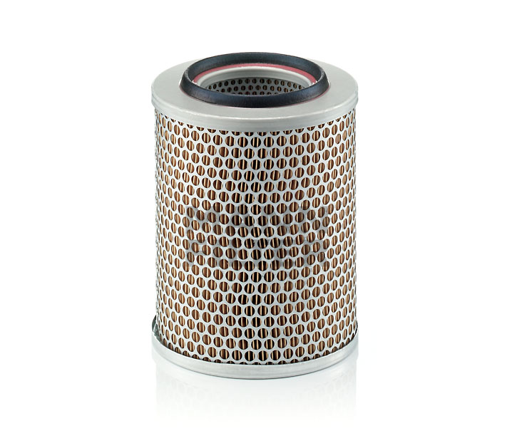 MANN-FILTER C 17 160 Filtre à air
