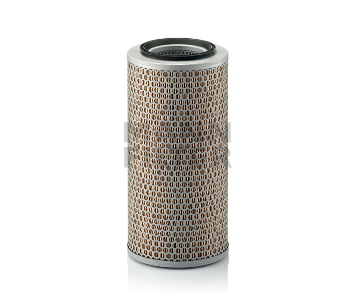960845 MANN-FILTER C17250 Motorluftfilter FIAT kostnad