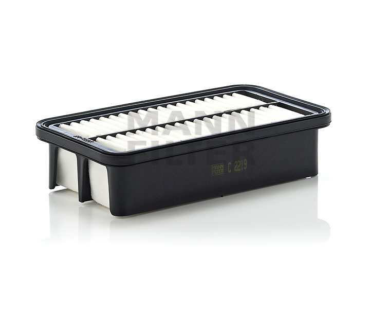 MANN-FILTER C 2219 Luftfilter
