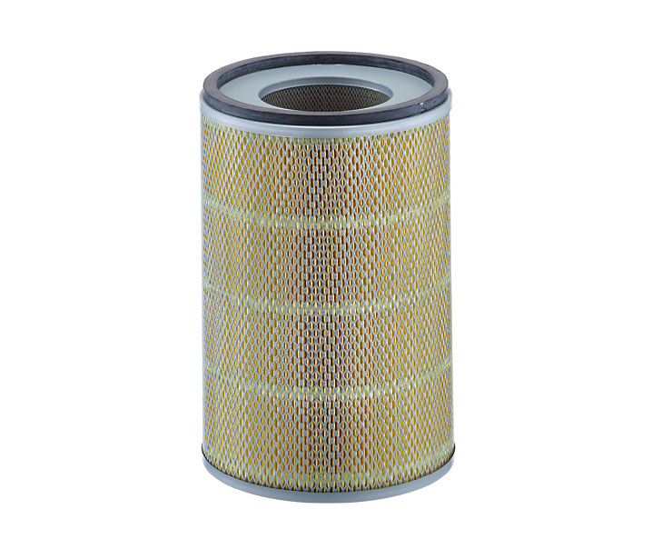 MANN-FILTER C 24 719 Luftfilter