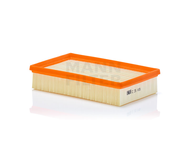 961150 MANN-FILTER C 25 009