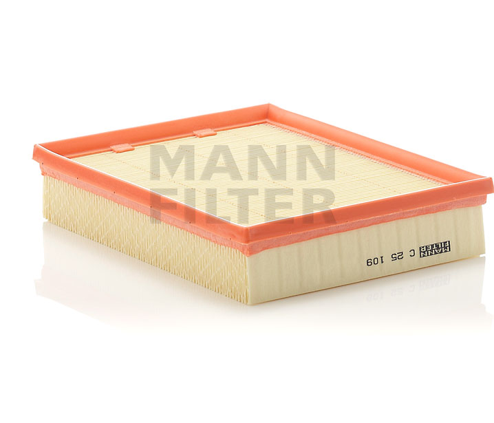 MANN-FILTER C 25 109 Vzduchový filtr