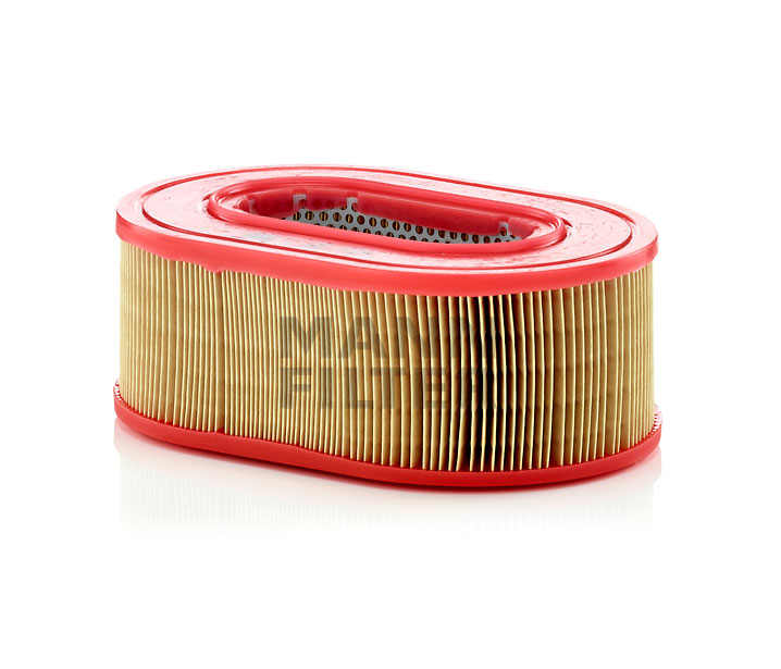 MANN-FILTER C 25 124 Luftfilter