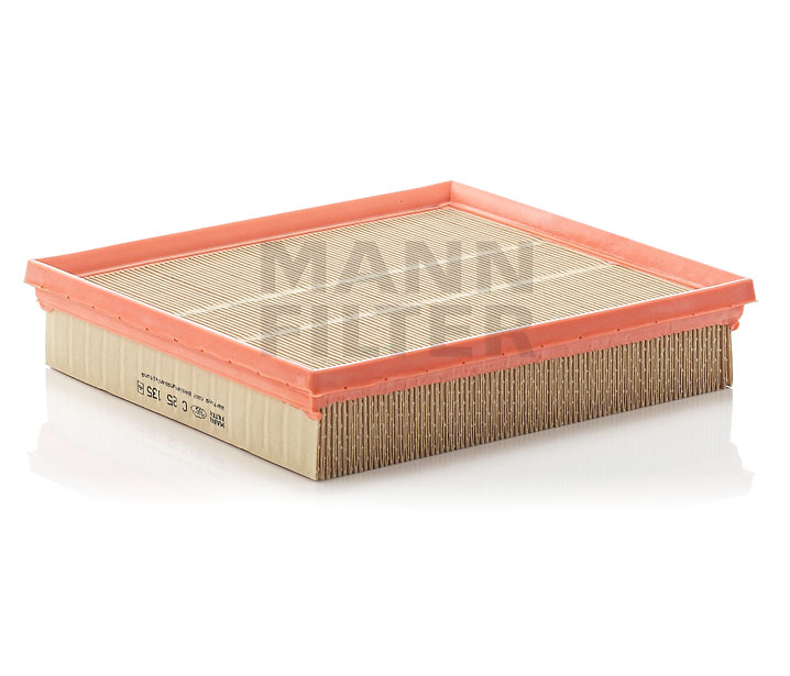 Luftfiltereinsatz MANN-FILTER C 25 135