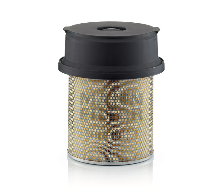 MANN-FILTER C 29 1219/1 Filtre à air