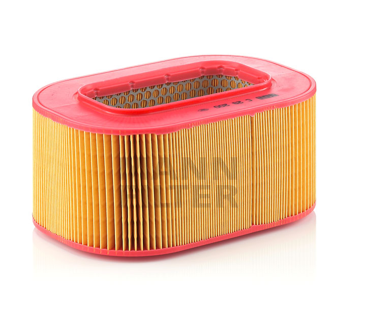 MANN-FILTER C 29 200 Filtre à air