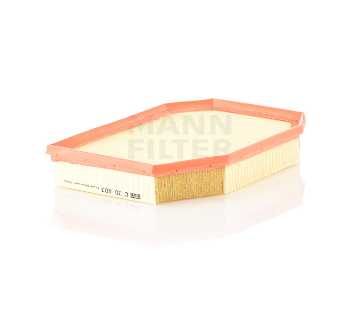 961469 Filtre à air MANN-FILTER Honda prix