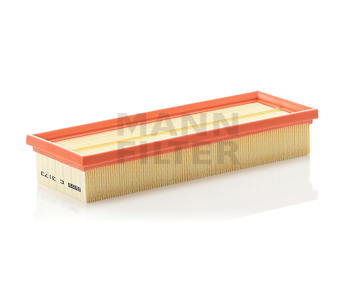 961603 MANN-FILTER C 3173
