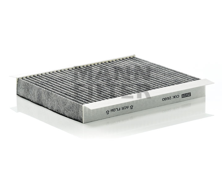MANN-FILTER 962519 Filtro do habitáculo Citroen Xsara N1 preço