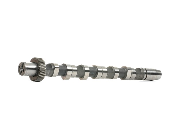 9734425 Albero a camme INA Audi