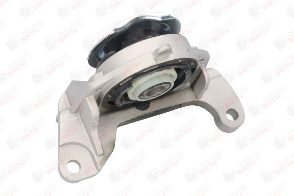 Engine mounts BIRTH 50391 rating