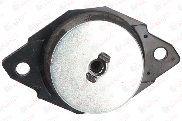 Motorlager 50509 BIRTH 357199381C VW, AUDI, SKODA, SEAT
