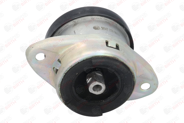 BIRTH 50547 Motorlager Motorlager 50547 BIRTH 184466 VW, FORD, PEUGEOT, CITROЁN, DS